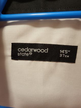 Camisa. Lisa. Cedar Woood State