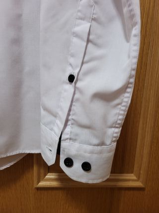 Camisa. Lisa. Cedar Woood State