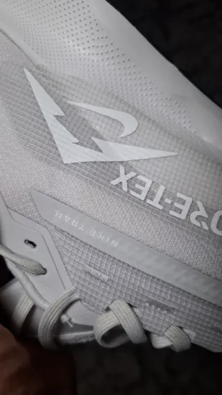 Nike Pegasus Trail Gore-Tex Beige/Blanco