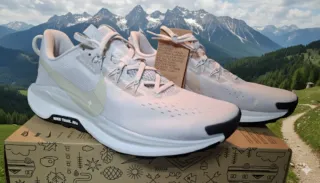 Nike Pegasus Trail Beige/Blanco Talla 42