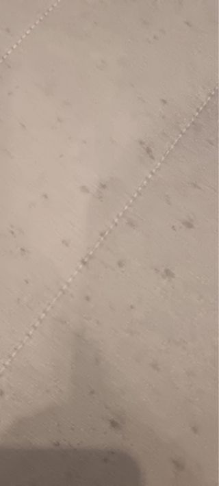 Sofá Cama IKEA LYCKSELE LÖVÅS