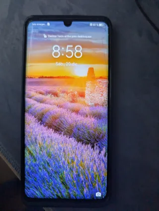 Huawei P30 Pro Negro