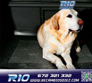 BANDEJA MALETERO PARA CITROËN