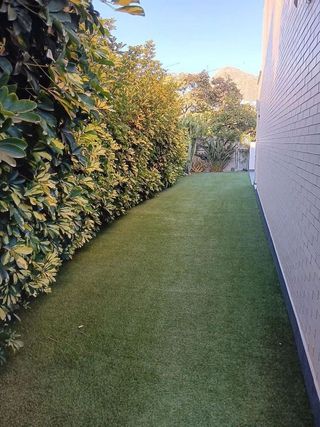 Casa adosada en alquiler en Pedregalejo en Málaga