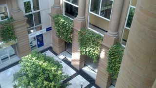 Oficina en alquiler en La Buhaira en Sevilla