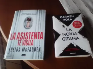 La asistenta te vigila (La asistenta 3)