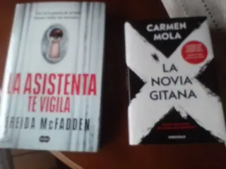 La asistenta te vigila (La asistenta 3)