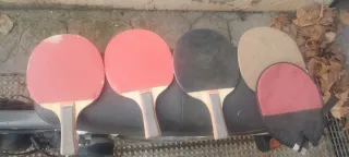 Lote Raquetas Ping Pong