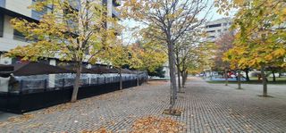 Piso en alquiler en Cascajos - Piqueras en Logroño