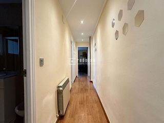 Piso en alquiler en Pº Zorrilla - Cuatro de Marzo en Valladolid