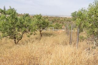 Terreno en venta en Otura