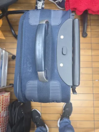 Roberta di Camerino Trolley Blu