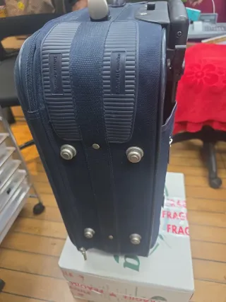 Roberta di Camerino Trolley Blu