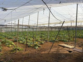 Terreno en venta en Las Palmeras-Dehesilla en Sanlúcar de Barrameda