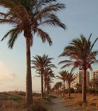 Terreno en venta en Plaça Eliptica-Republica Argentina-Germanies en Gandia