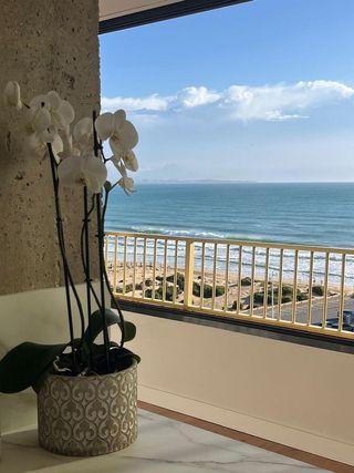 Piso en alquiler en Los Arenales del Sol en Elche