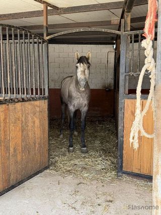 Casa rural en venta en San Pedro de Mérida