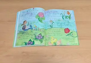 LLENGUA 1 PRIMARIA ELS CAMINS DEL SABER