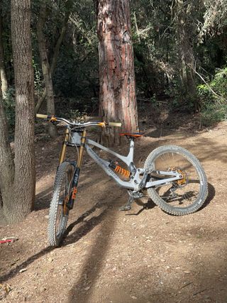 Bici DH NUKEPROOF DISSENT 2022