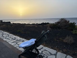 Silla de paseo Bugaboo Butterfly Verde Oscuro