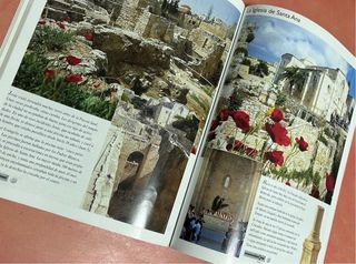 Viaje a la Tierra Santa