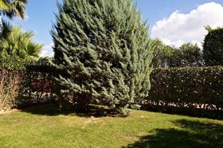 Piso en alquiler en Navata