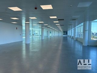 Oficina en alquiler en La Barceloneta en Barcelona