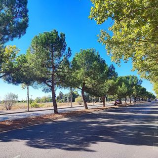 Piso en alquiler en El Pilar - Bripac en Alcalá de Henares
