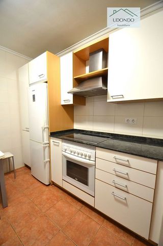 Piso en alquiler en Zona Leioa en Leioa