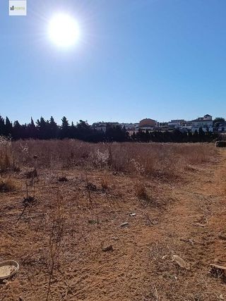 Terreno en venta en Monteolivete-Camino Sevilla en Sanlúcar de Barrameda