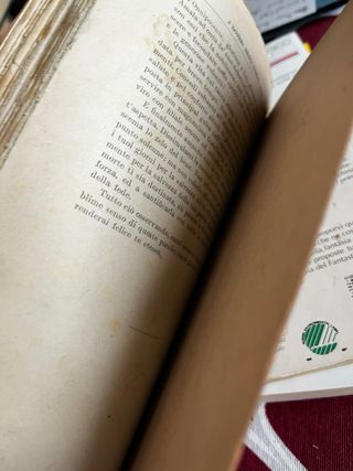 le mie prigioni e altri scritti minori,