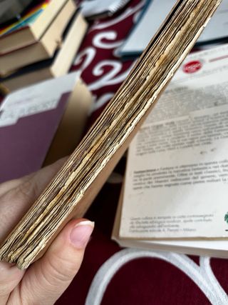 le mie prigioni e altri scritti minori,