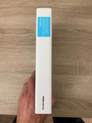 Un Mundo Maravilloso