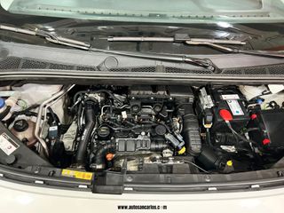 IDEAL PARTNER CON TRAMPILLA + 2 AÑOS GARANTÍA