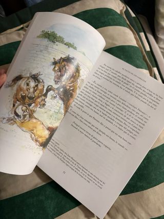 El conde Lucanor, ESO. Material auxiliar (Spani...