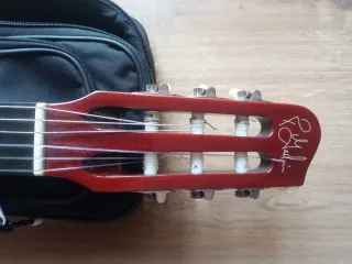 Guitarra Godin ACS Cedar Natural SG Nylon