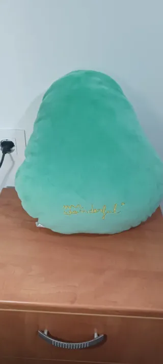 Peluche Aguacate Kawaii mr. Wonderful