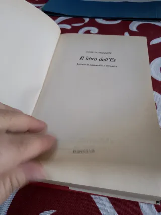 Il libro dell'es