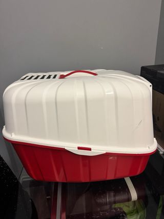 Box per gatti rosso con coperchio