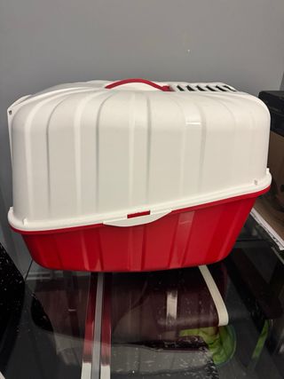 Box per gatti rosso con coperchio