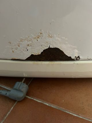 Lavatrice Whirlpool 8 kg