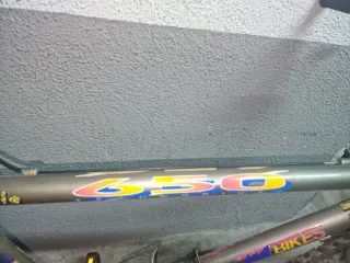 Bicicleta de Montaña