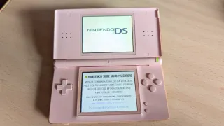 Nintendo DS rosa con caricatore
