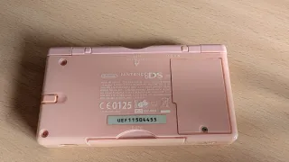 Nintendo DS rosa con caricatore