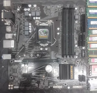 Lote Informático: Placa Base y RAM ssd m.2