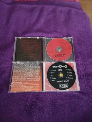 CD PUNK ROCK SKA HARDCORE METAL VARIOS