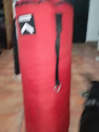 Saco de boxeo y guantes
