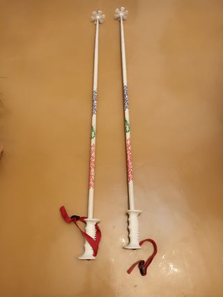 Esquís Fischer Ceramic + fijaciones Salomon