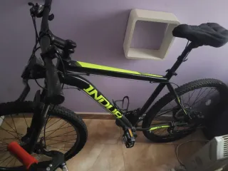 Bicicleta INDUR buen estado