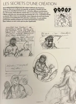 Tintin au Tibet - Les Archives de Tintin